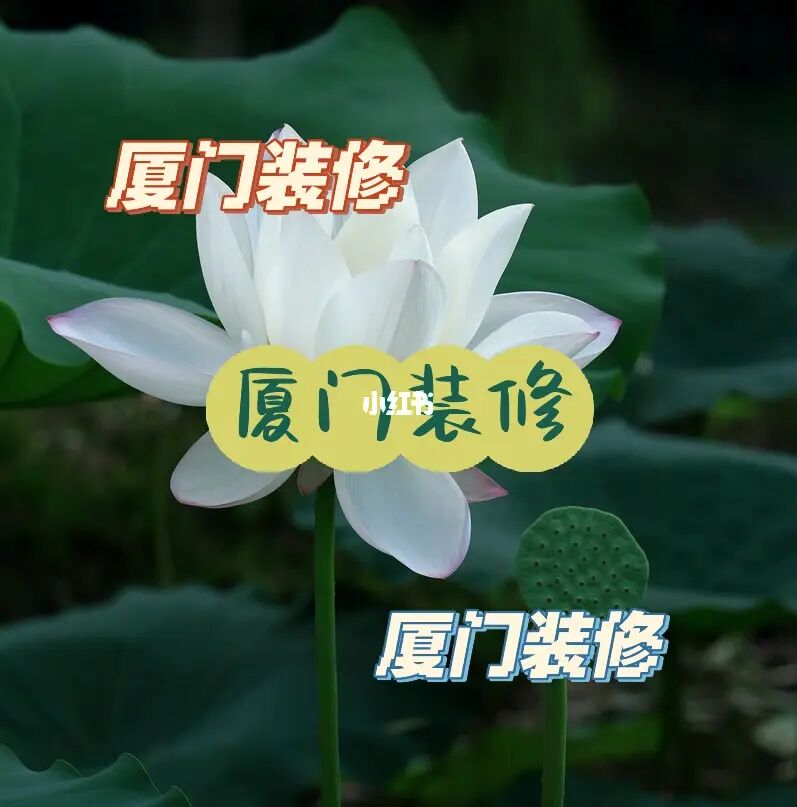 廈門裝飾排名公司_廈門十大裝飾公司排名_廈門裝飾排名公司有哪些