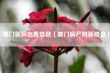 廈門(mén)家庭裝修網(wǎng)_廈門(mén)裝修家庭網(wǎng)站有哪些_廈門(mén)家裝網(wǎng)平臺(tái)