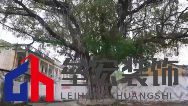 期頤華僑反哺故鄉(xiāng)桑梓情深,“夢(mèng)改”助力潮州大吳村再綻魅力